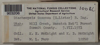 Image Associated With the Occurence